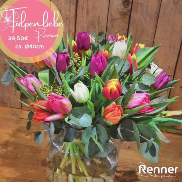 Tulpenliebe – Bild 3